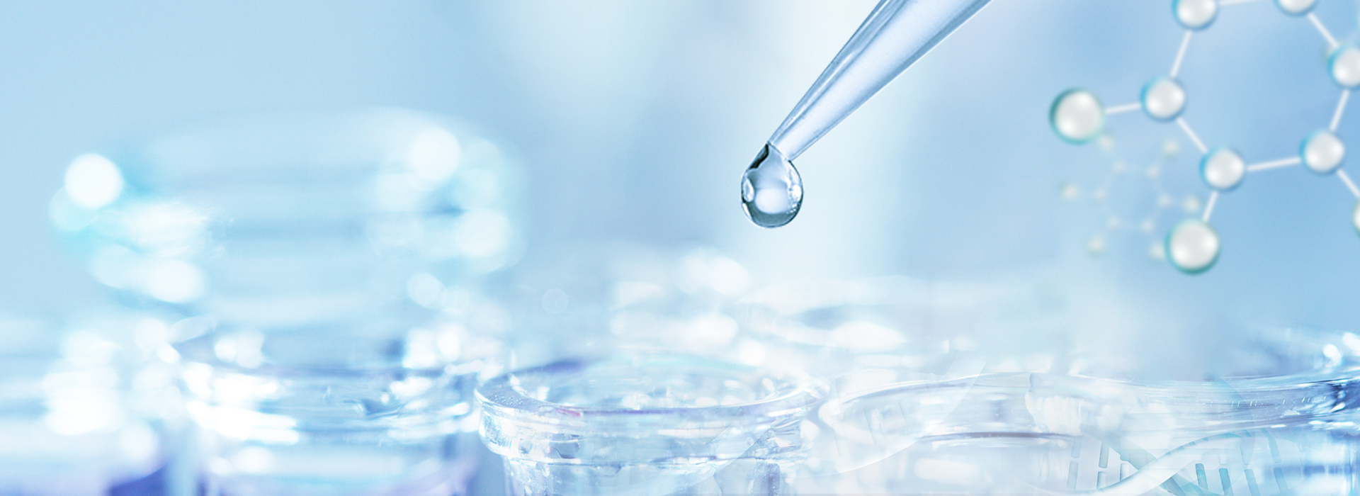 CA88(中国区)官方网站入口