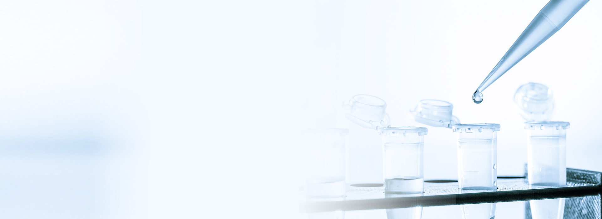 CA88(中国区)官方网站入口